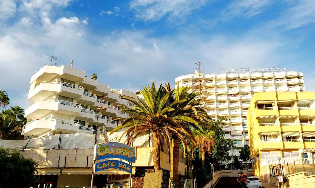 플라야데라스아메리카스 Under The Palm 아파트 외부 사진