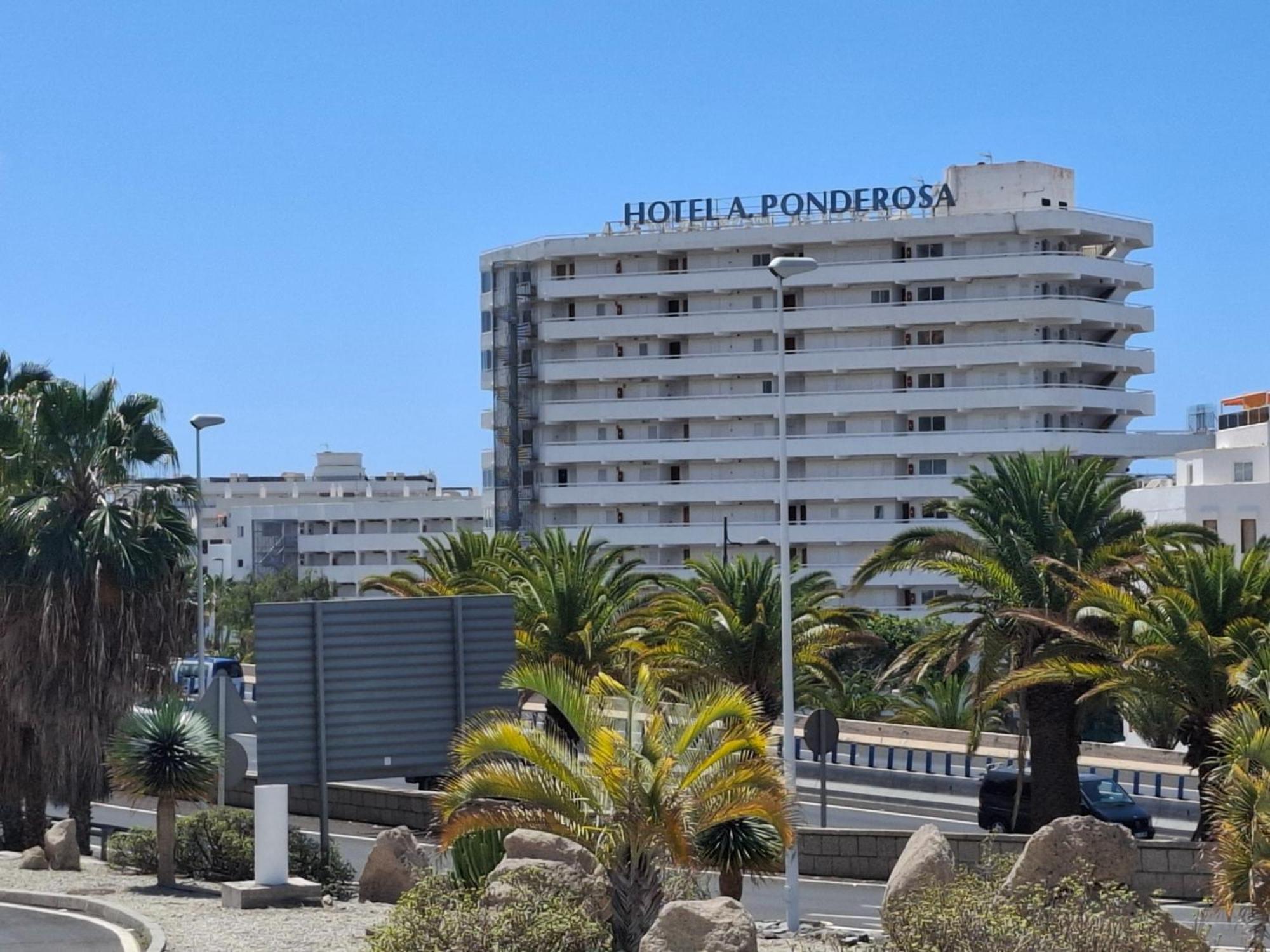 플라야데라스아메리카스 Under The Palm 아파트 외부 사진